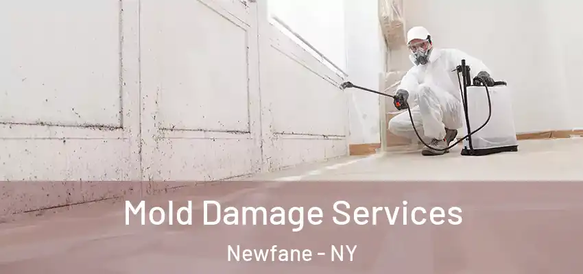 Mold Damage Services Newfane - NY