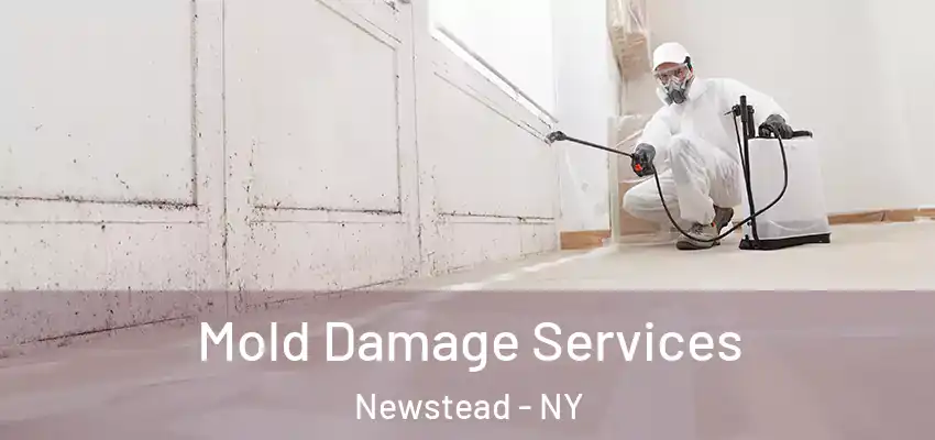  Mold Damage Services Newstead - NY