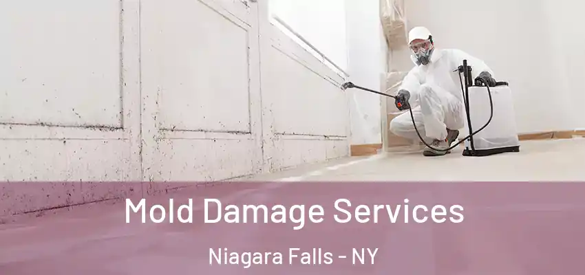  Mold Damage Services Niagara Falls - NY