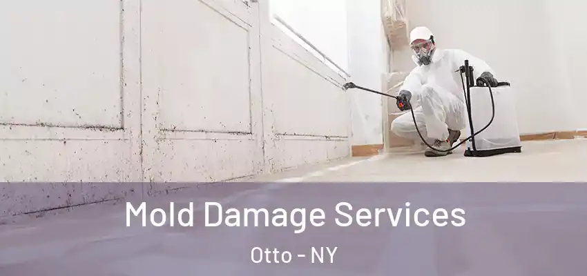Mold Damage Services Otto - NY