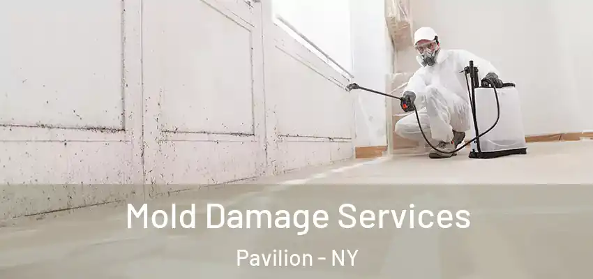  Mold Damage Services Pavilion - NY