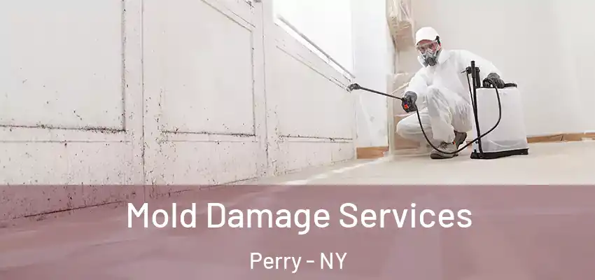  Mold Damage Services Perry - NY