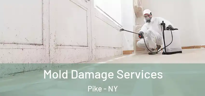 Mold Damage Services Pike - NY