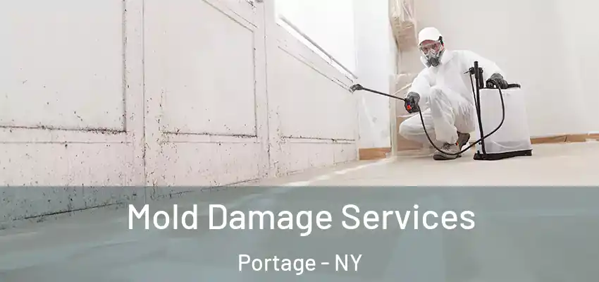  Mold Damage Services Portage - NY