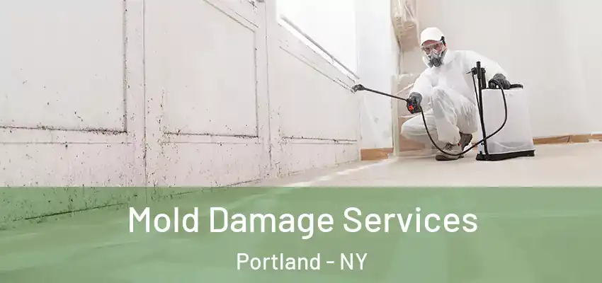 Mold Damage Services Portland - NY