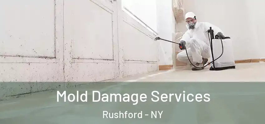 Mold Damage Services Rushford - NY