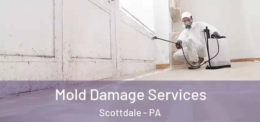  Mold Damage Services Scottdale - PA