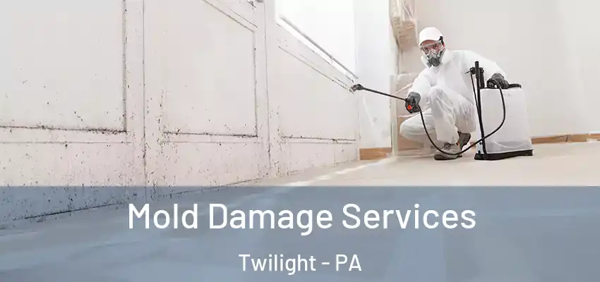 Mold Damage Services Twilight - PA