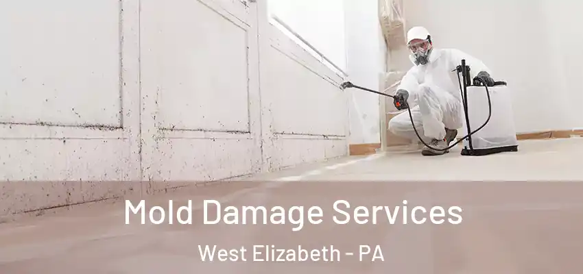  Mold Damage Services West Elizabeth - PA
