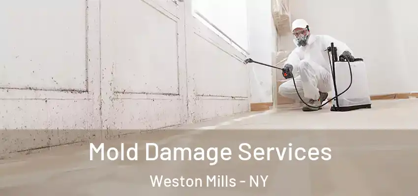  Mold Damage Services Weston Mills - NY