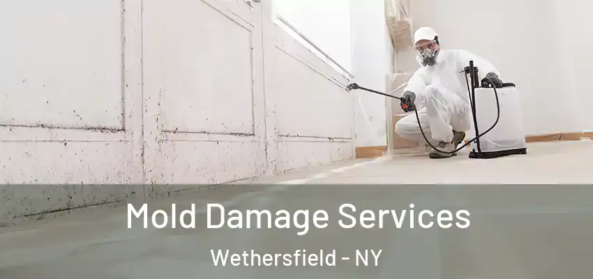Mold Damage Services Wethersfield - NY