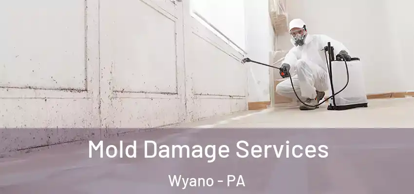  Mold Damage Services Wyano - PA