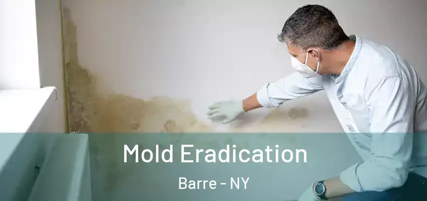  Mold Eradication Barre - NY