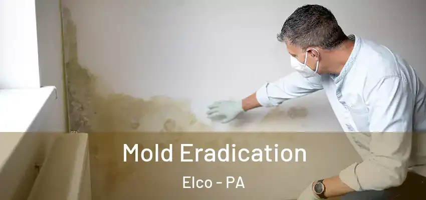  Mold Eradication Elco - PA