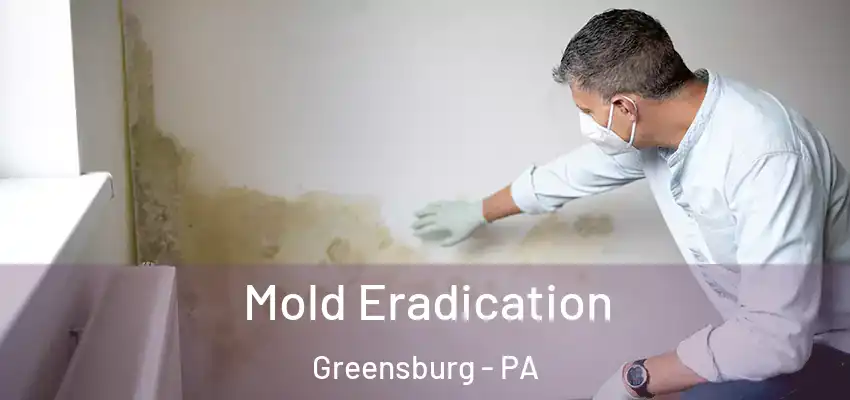  Mold Eradication Greensburg - PA