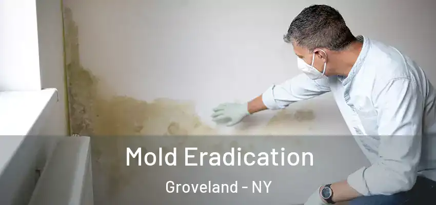 Mold Eradication Groveland - NY