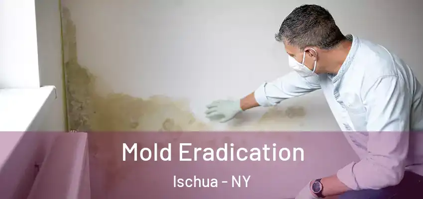 Mold Eradication Ischua - NY