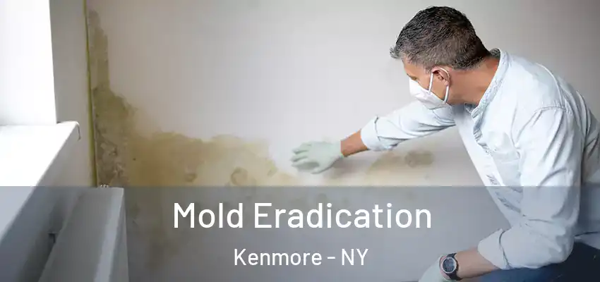 Mold Eradication Kenmore - NY