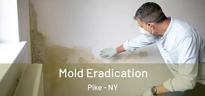 Mold Eradication Pike - NY