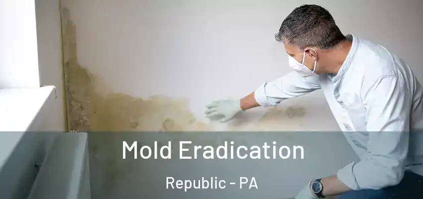 Mold Eradication Republic - PA