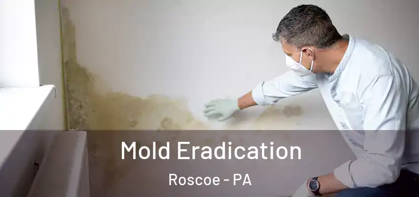 Mold Eradication Roscoe - PA