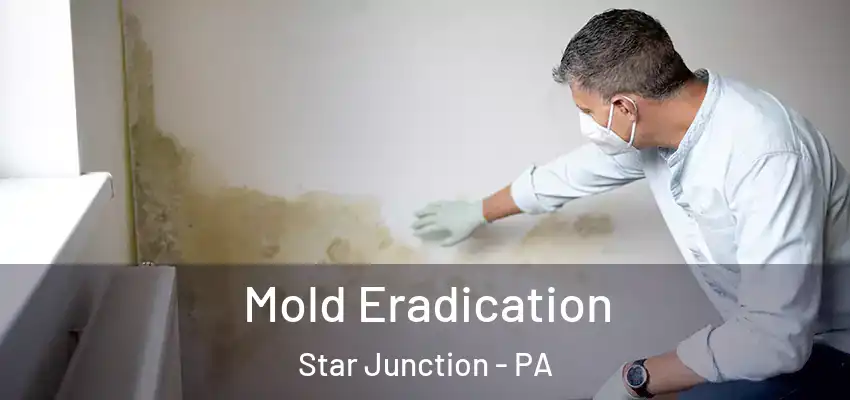 Mold Eradication Star Junction - PA