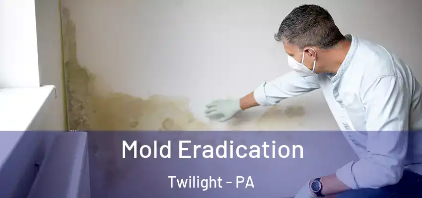 Mold Eradication Twilight - PA
