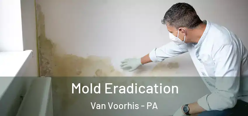 Mold Eradication Van Voorhis - PA