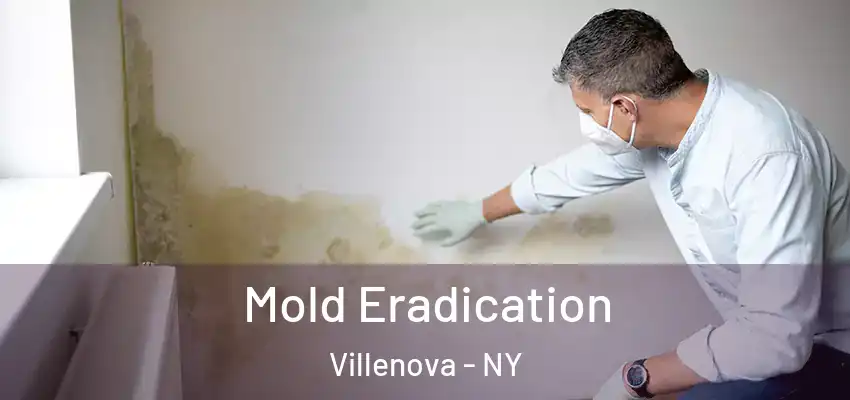  Mold Eradication Villenova - NY