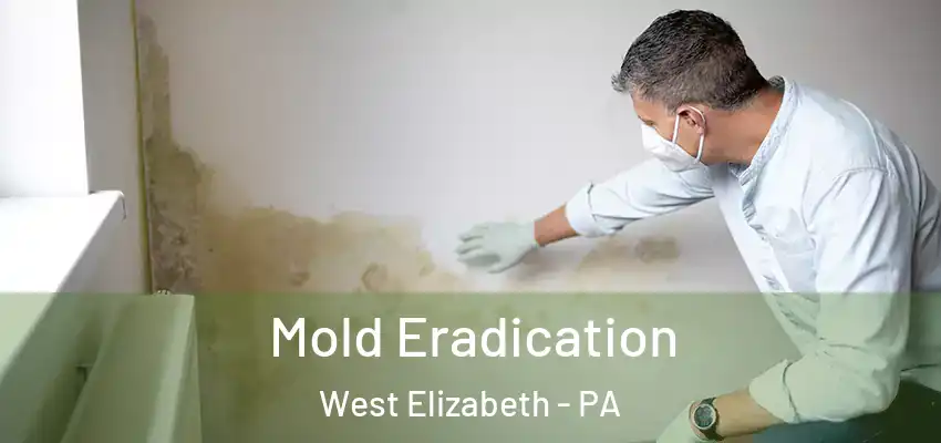  Mold Eradication West Elizabeth - PA