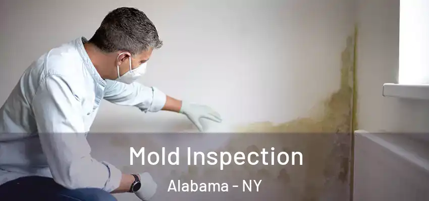  Mold Inspection Alabama - NY