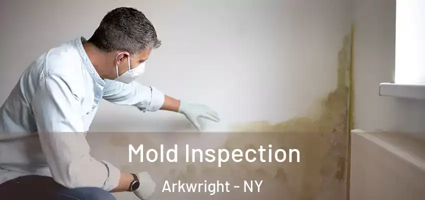  Mold Inspection Arkwright - NY