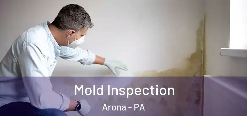  Mold Inspection Arona - PA