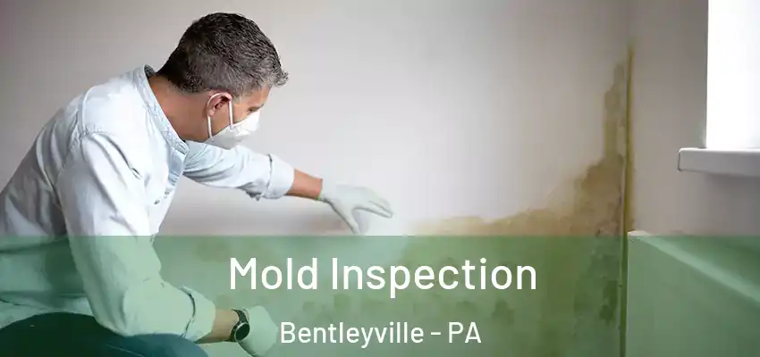  Mold Inspection Bentleyville - PA