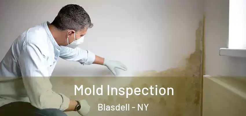  Mold Inspection Blasdell - NY