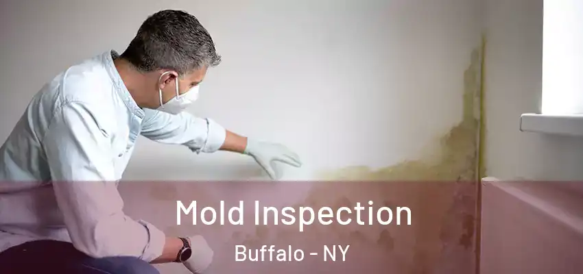  Mold Inspection Buffalo - NY