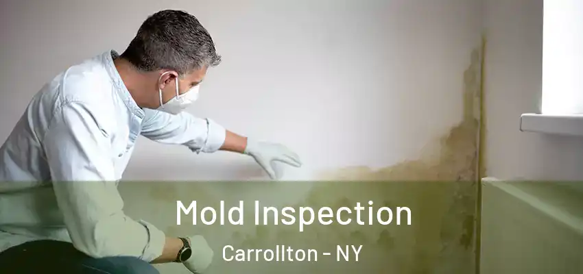 Mold Inspection Carrollton - NY