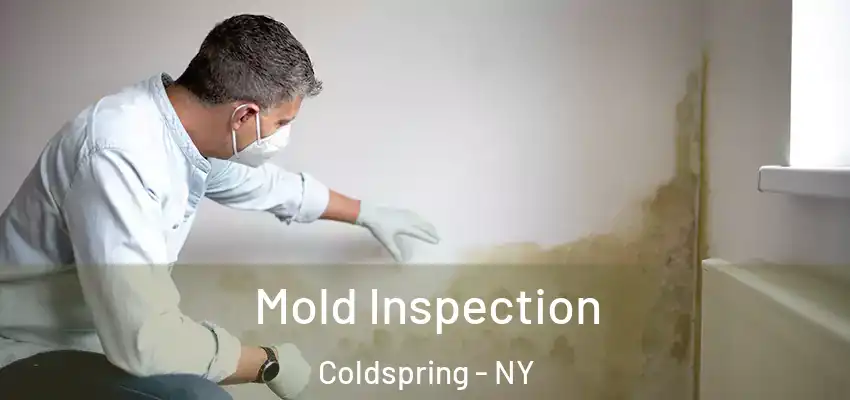 Mold Inspection Coldspring - NY
