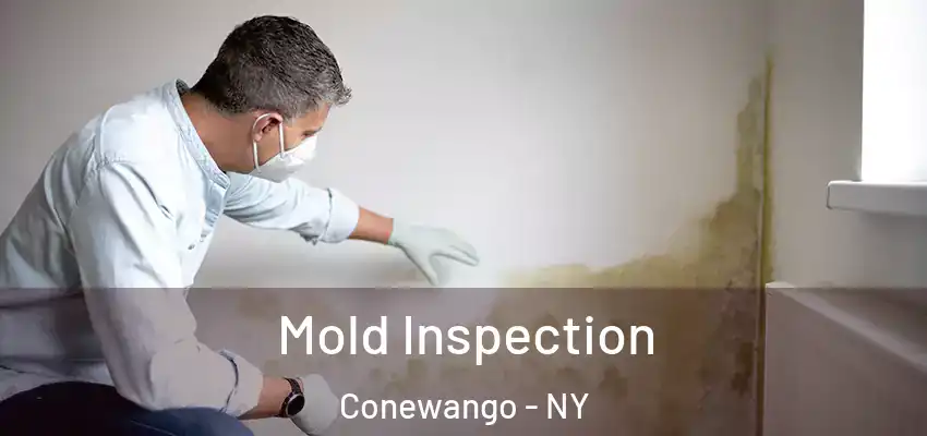  Mold Inspection Conewango - NY