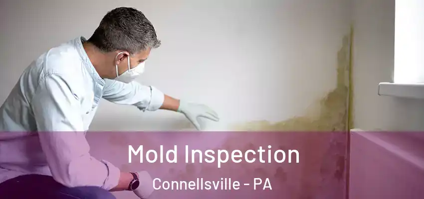  Mold Inspection Connellsville - PA