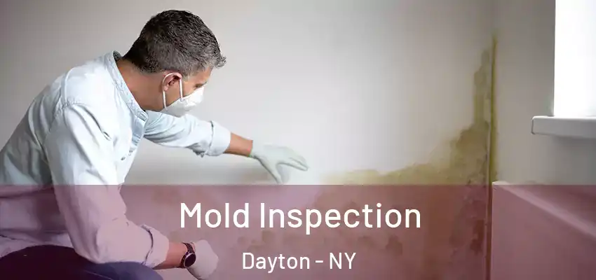  Mold Inspection Dayton - NY
