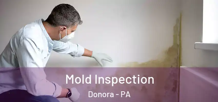  Mold Inspection Donora - PA