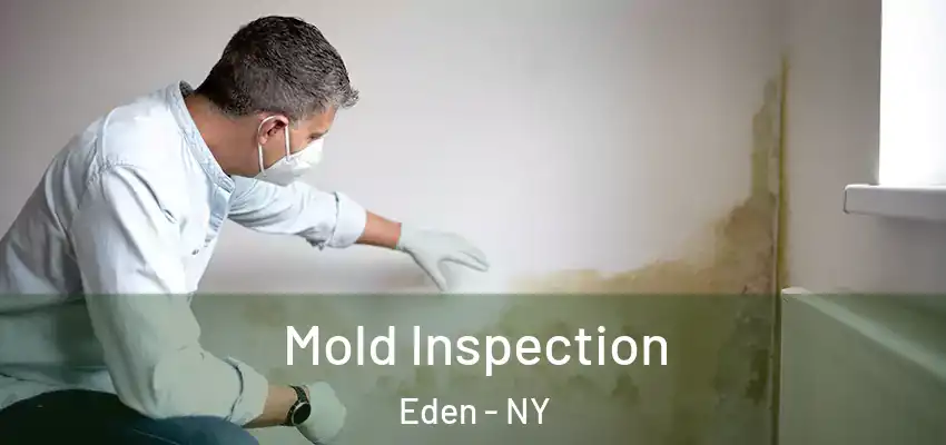  Mold Inspection Eden - NY