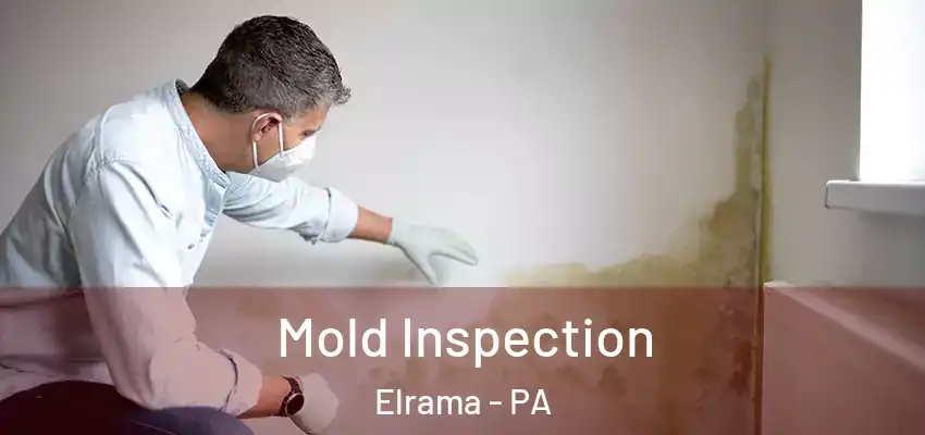  Mold Inspection Elrama - PA
