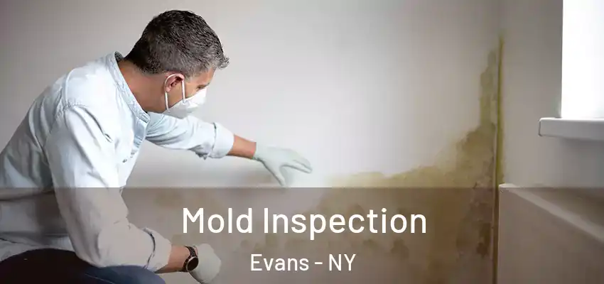 Mold Inspection Evans - NY