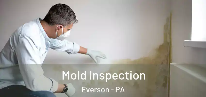 Mold Inspection Everson - PA