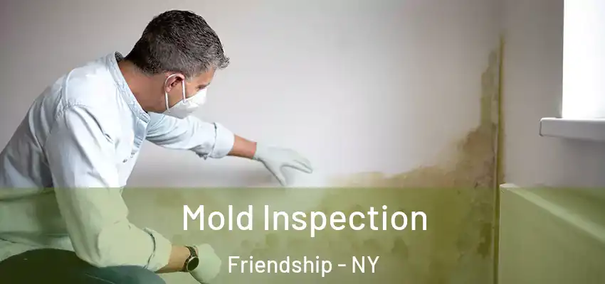  Mold Inspection Friendship - NY