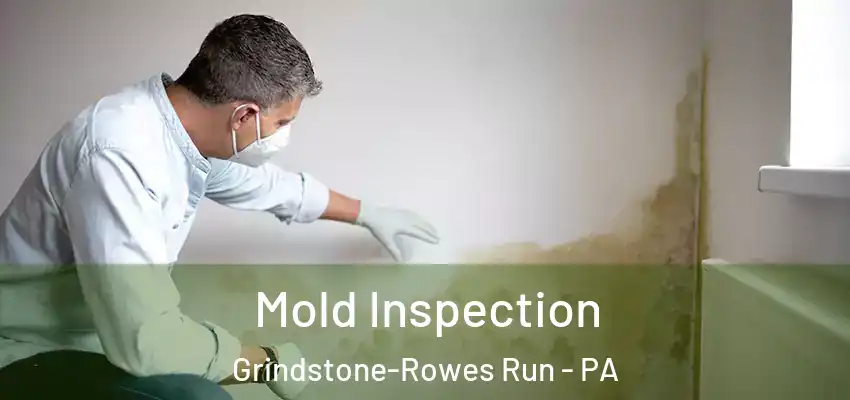  Mold Inspection Grindstone-Rowes Run - PA