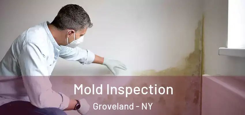  Mold Inspection Groveland - NY