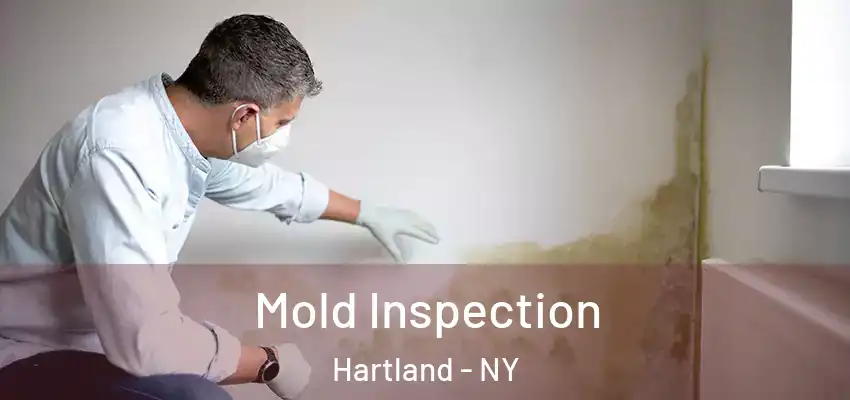  Mold Inspection Hartland - NY